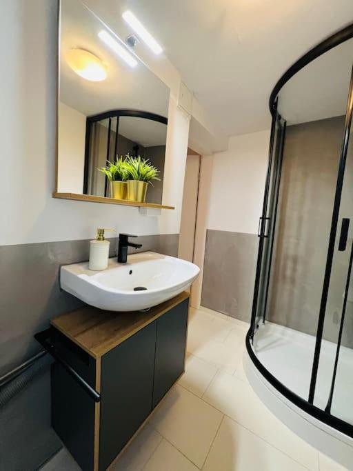 Apartment Rheingold Schwabach Esterno foto